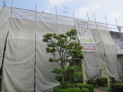http://www.sagami-k.co.jp/blog/%E5%A4%96%E5%A3%81%EF%BC%91.jpg