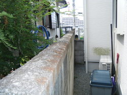DSCF4657.JPGのサムネール画像
