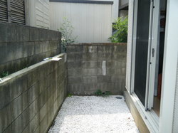 DSCF4676.JPGのサムネール画像
