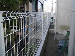 DSCF6213.JPGのサムネール画像
